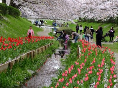 江川せせらぎ緑道
