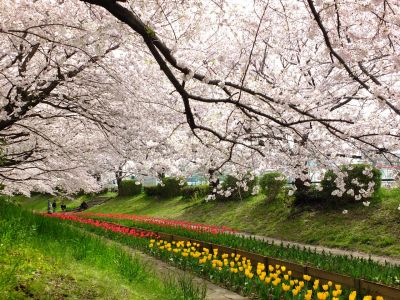 江川せせらぎ緑道
