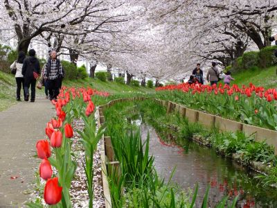 江川せせらぎ緑道

