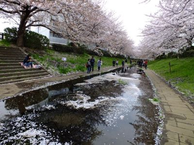 江川せせらぎ緑道
