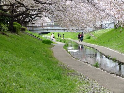 江川せせらぎ緑道
