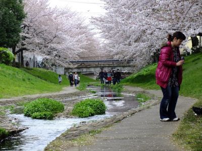 江川せせらぎ緑道
