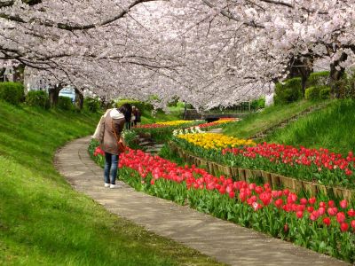 江川せせらぎ緑道
