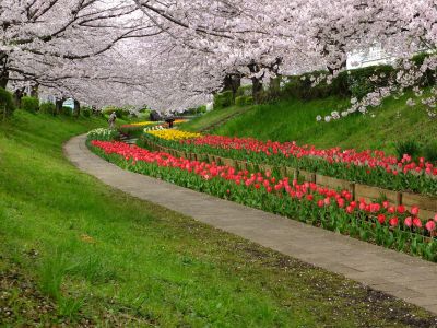 江川せせらぎ緑道

