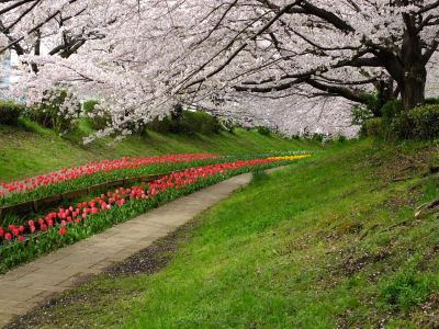 江川せせらぎ緑道
