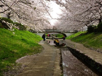 江川せせらぎ緑道
