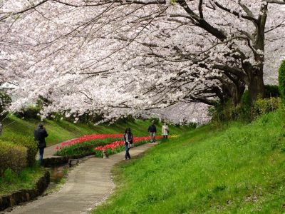 江川せせらぎ緑道
