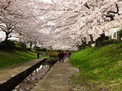 江川せせらぎ緑道
