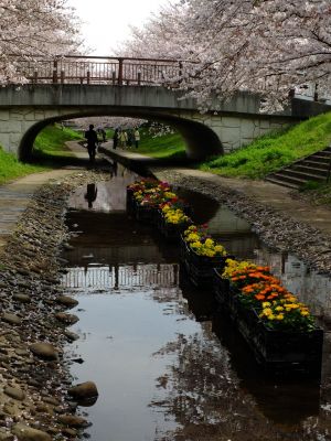 江川せせらぎ緑道
