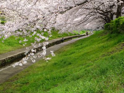 江川せせらぎ緑道
