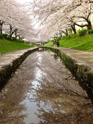 江川せせらぎ緑道
