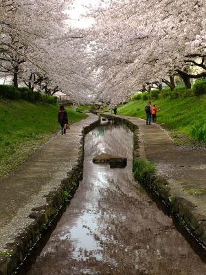 江川せせらぎ緑道
