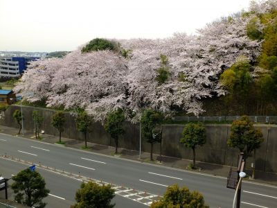 淡島神社
