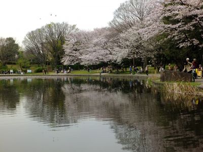 せせらぎ公園
