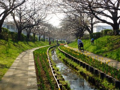都筑江川せせらぎ緑道
