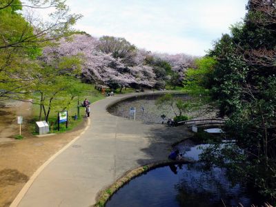 せせらぎ公園
