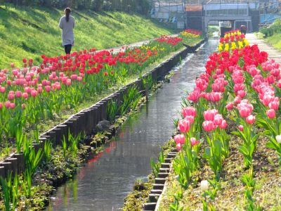 都筑江川せせらぎ緑道
