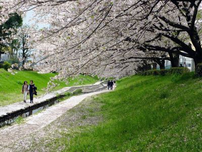 江川せせらぎ緑道
