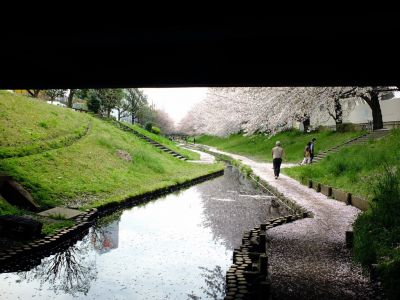 江川せせらぎ緑道
