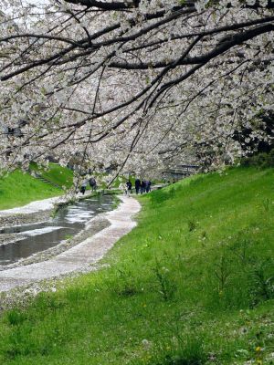 江川せせらぎ緑道
