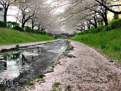 江川せせらぎ緑道
