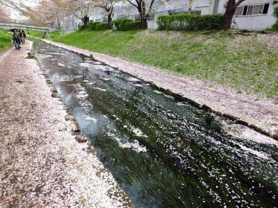 江川せせらぎ緑道

