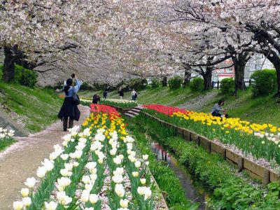 江川せせらぎ緑道
