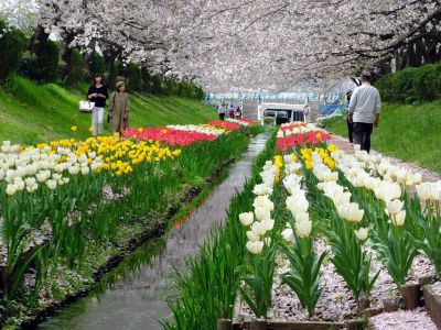江川せせらぎ緑道
