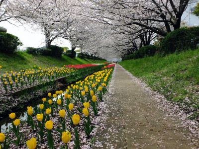 江川せせらぎ緑道
