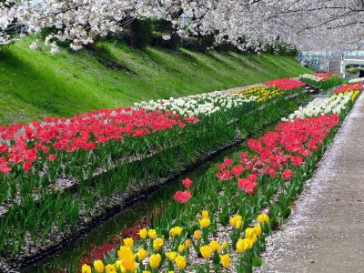 江川せせらぎ緑道
