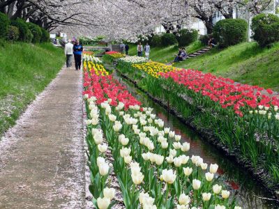 江川せせらぎ緑道
