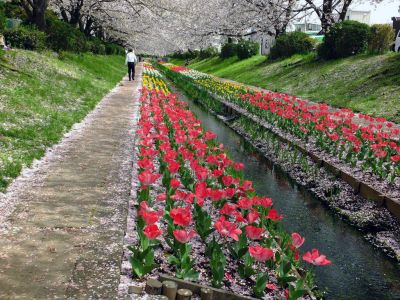江川せせらぎ緑道
