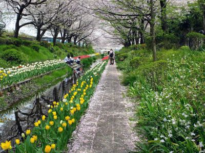 江川せせらぎ緑道
