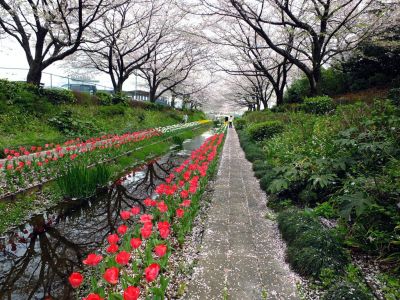江川せせらぎ緑道

