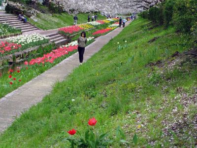 江川せせらぎ緑道
