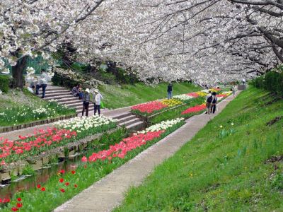 江川せせらぎ緑道
