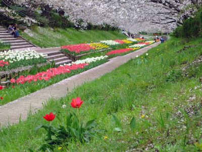 江川せせらぎ緑道
