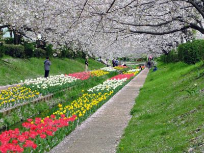 江川せせらぎ緑道
