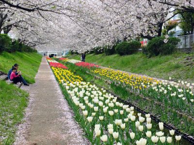 江川せせらぎ緑道
