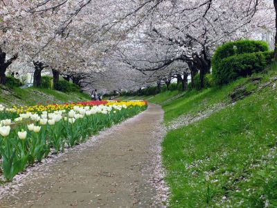 江川せせらぎ緑道
