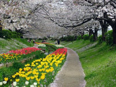 江川せせらぎ緑道
