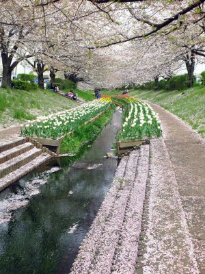 江川せせらぎ緑道
