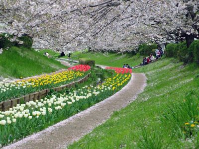 江川せせらぎ緑道
