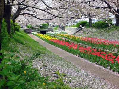 江川せせらぎ緑道
