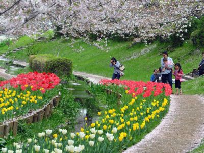 江川せせらぎ緑道
