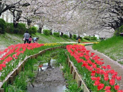 江川せせらぎ緑道
