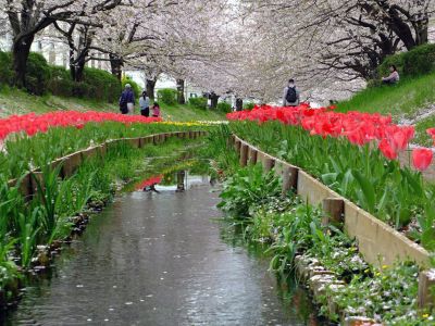 江川せせらぎ緑道
