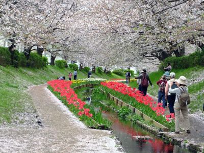 江川せせらぎ緑道
