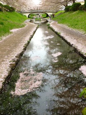 江川せせらぎ緑道
