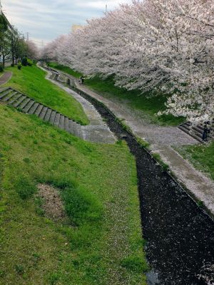 江川せせらぎ緑道
